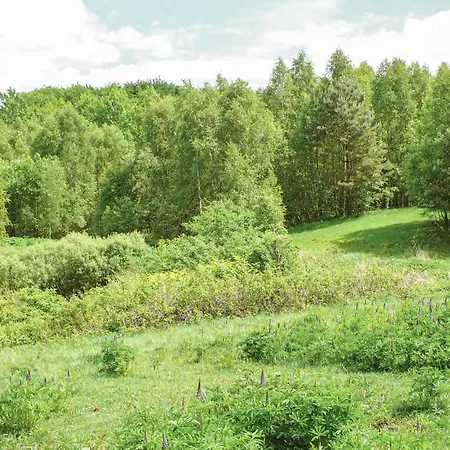 Ostoja Szmana Holiday home Wegorzyno