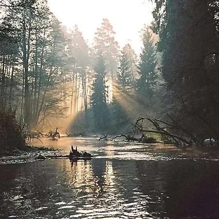 Ostoja Szmana *