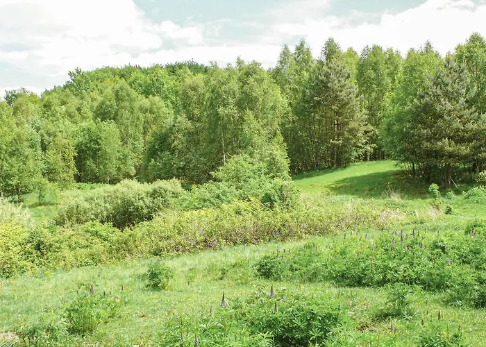 Ostoja Szmana Σπίτι διακοπών Węgorzyno