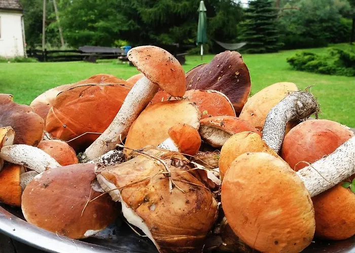 Ostoja Szmana Σπίτι διακοπών *