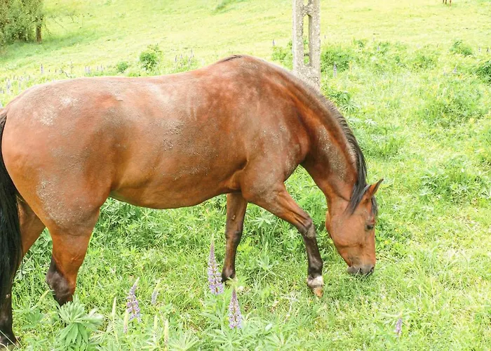 Σπίτι διακοπών Ostoja Szmana *